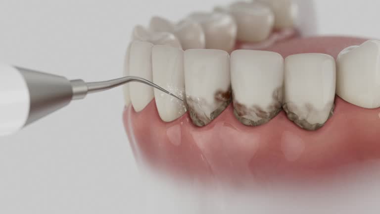 Reliable Dental contractor in Tahoma, CA by Dentist Open Now